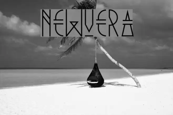 NewVera Example 1
