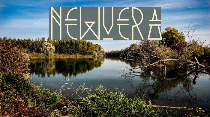 NewVera Font examples