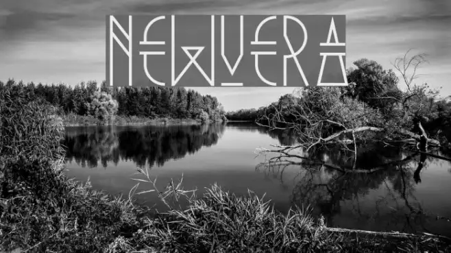 NewVera Example 2