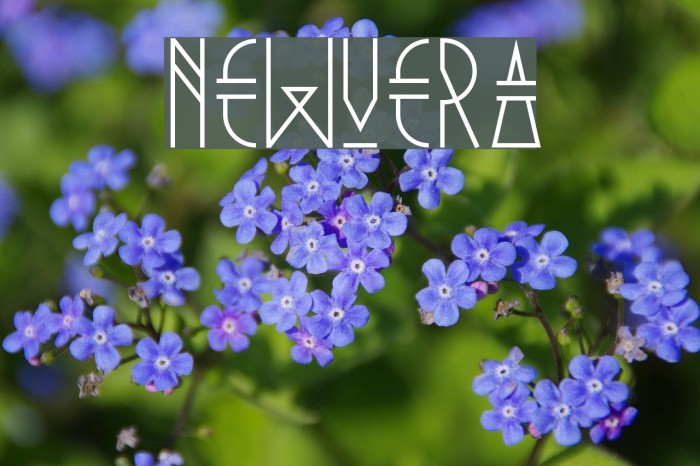 NewVera Font examples