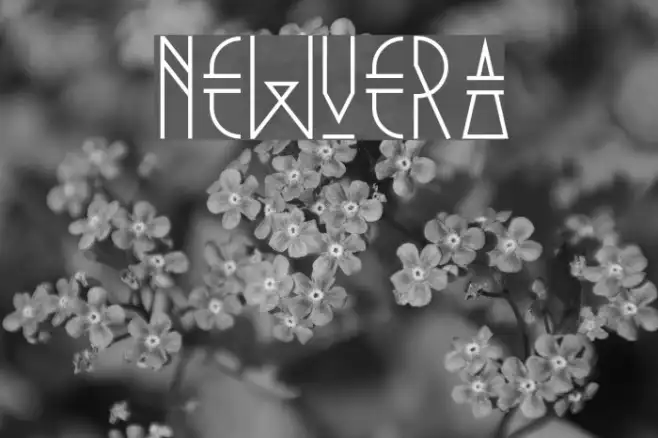 NewVera Example 3
