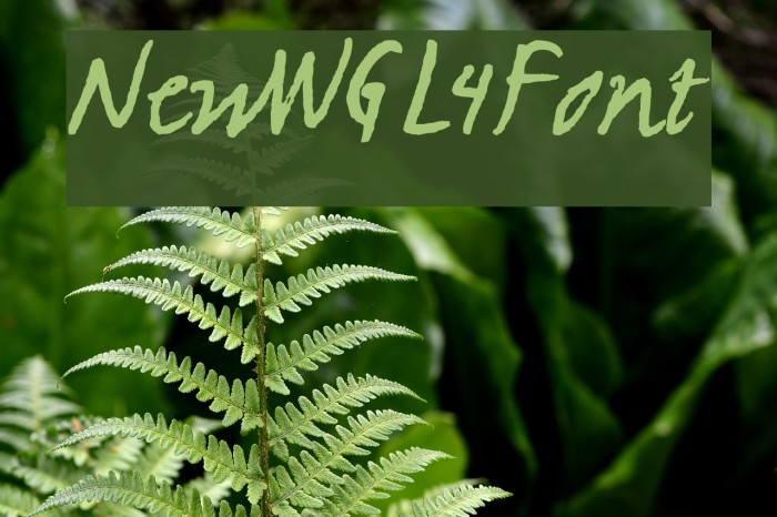 NewWGL4Font Font examples