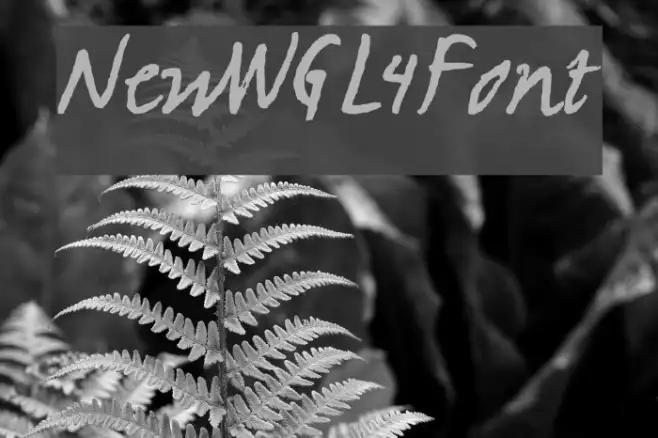 NewWGL4Font Example 2