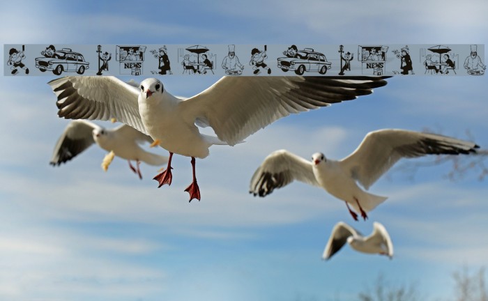 NewYorkNewYork Example 3