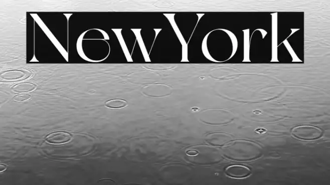 NewYork Example 1