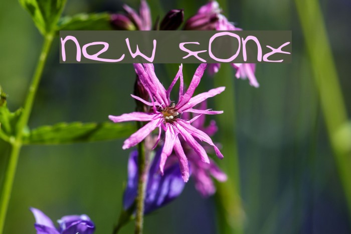 New Font examples