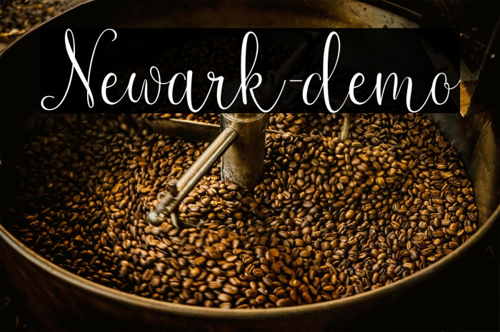 Newark-demo Example 1