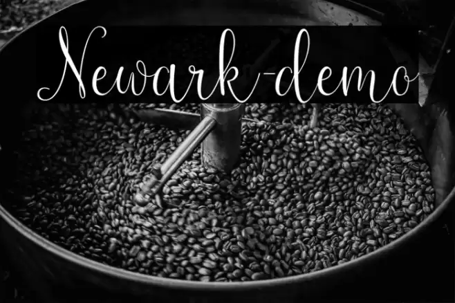 Newark-demo Font examples