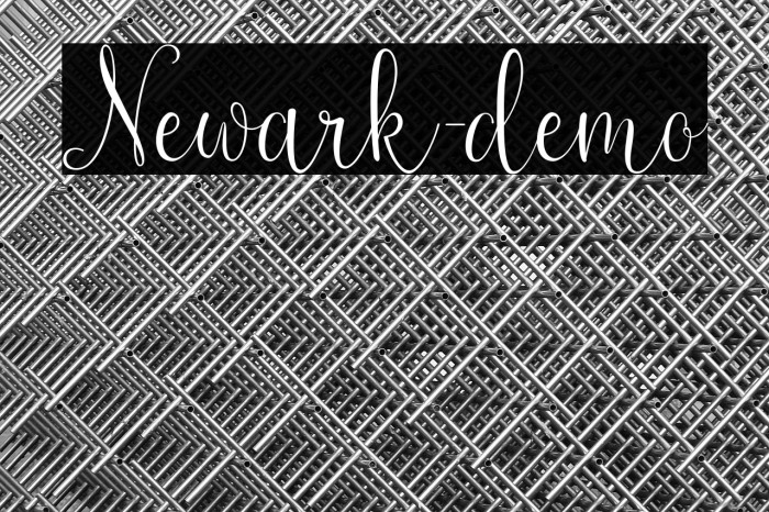 Newark-demo Example 2