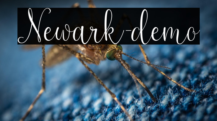 Newark-demo Example 3
