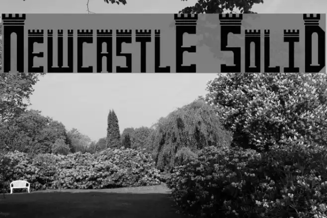 NewcastlE SoliD Font examples