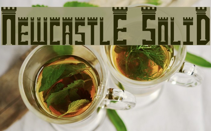 NewcastlE SoliD Font examples