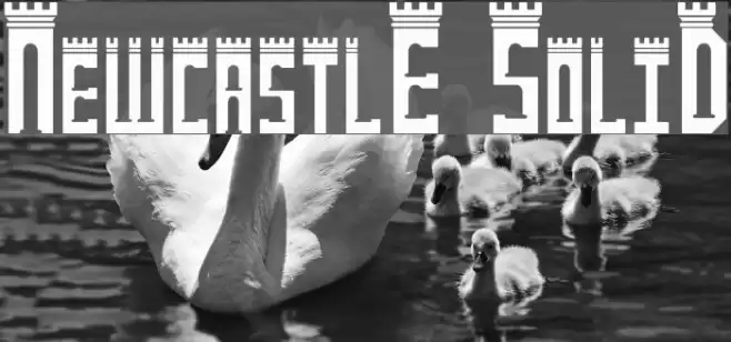 NewcastlE SoliD Font examples