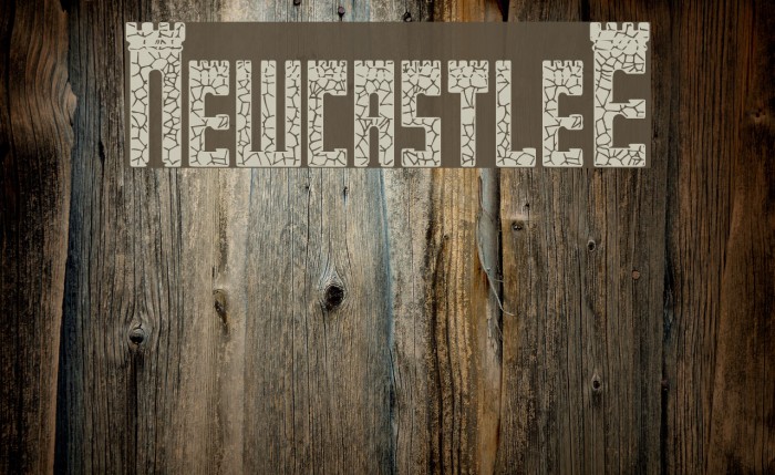 NewcastleE Font examples