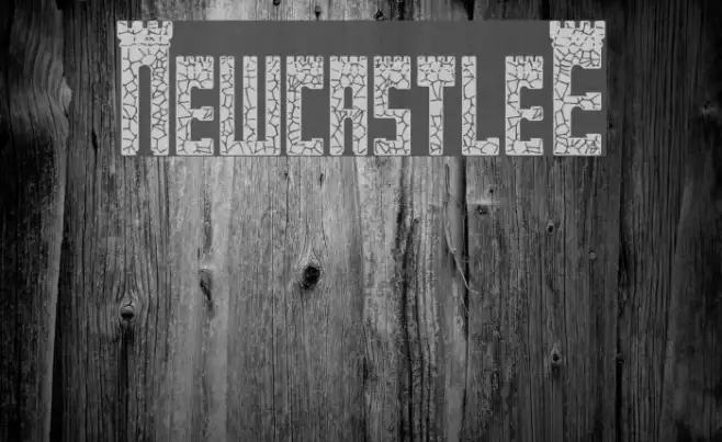 NewcastleE Example 1