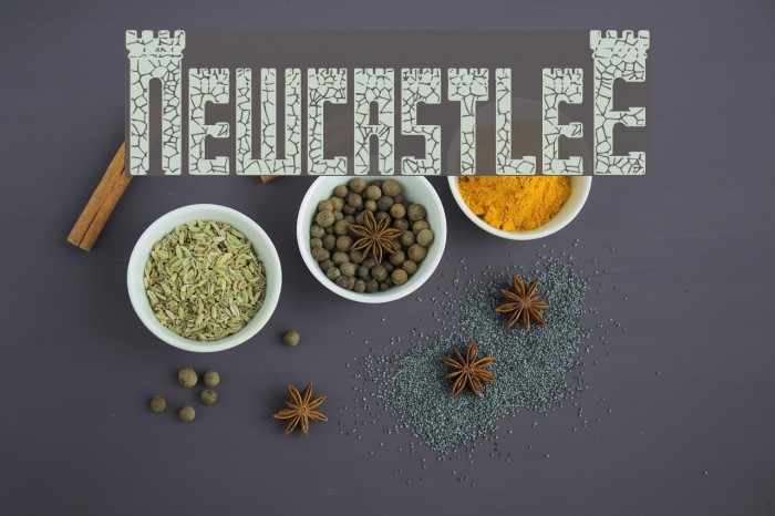 NewcastleE Font examples