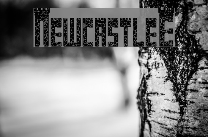 NewcastleE Font examples