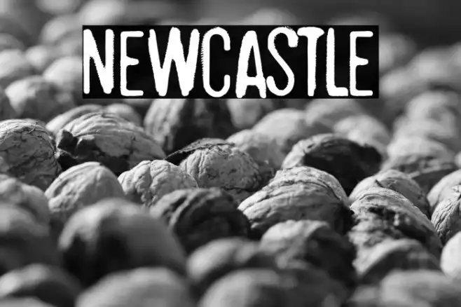 Newcastle Example 1