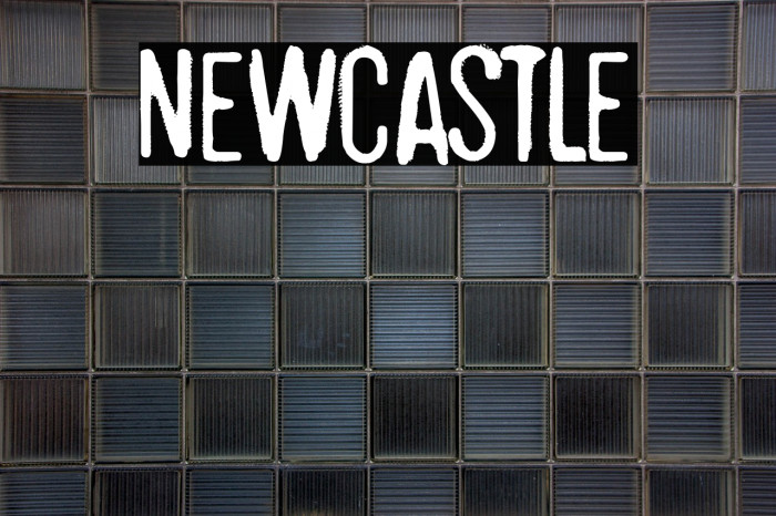 Newcastle Example 2