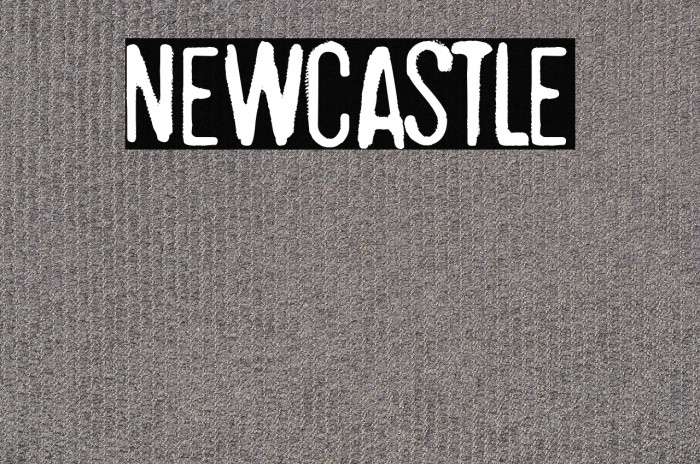 Newcastle Example 3