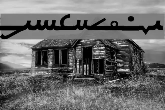 Newcursive Font examples