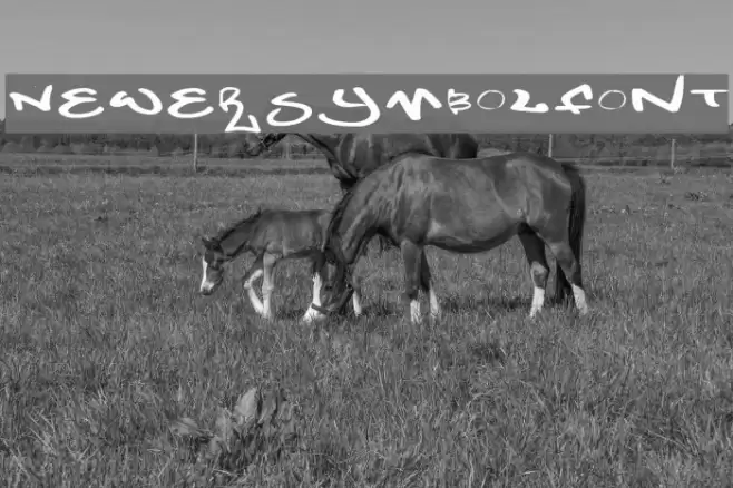 NewerSymbolFont5 Font examples