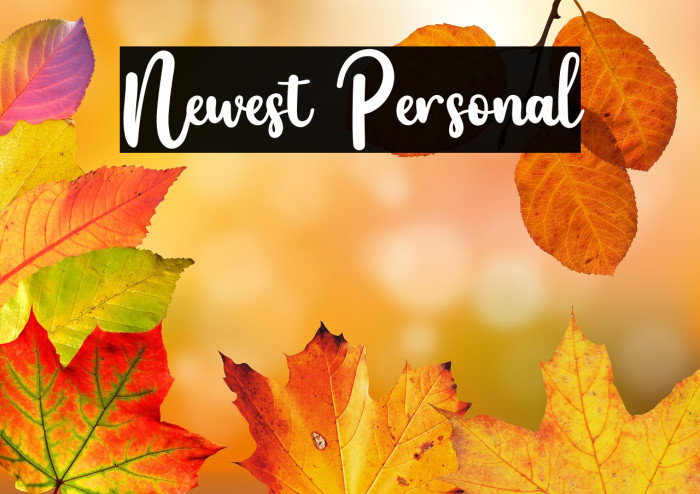 Newest Personal Example 1