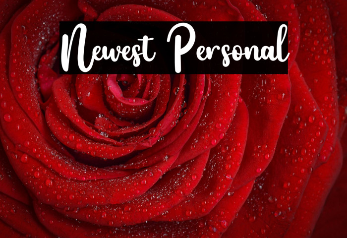 Newest Personal Example 2