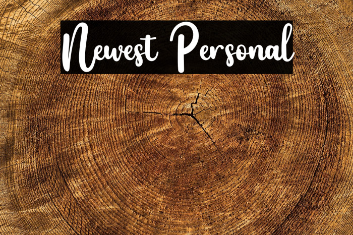 Newest Personal Example 3