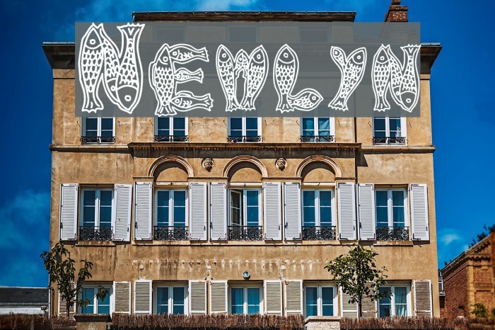 Newlyn Font examples