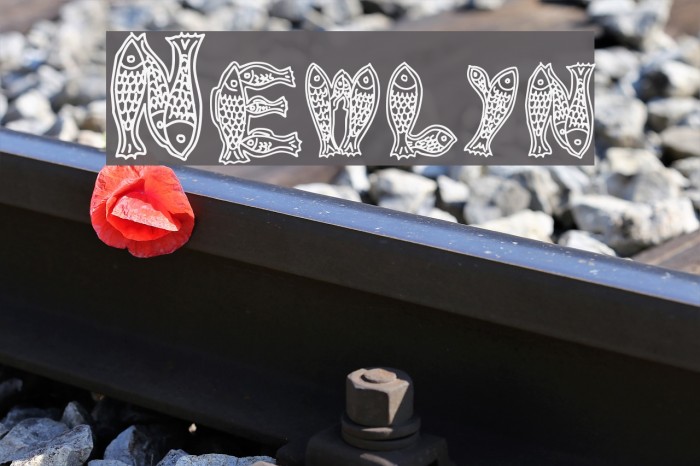 Newlyn Font examples