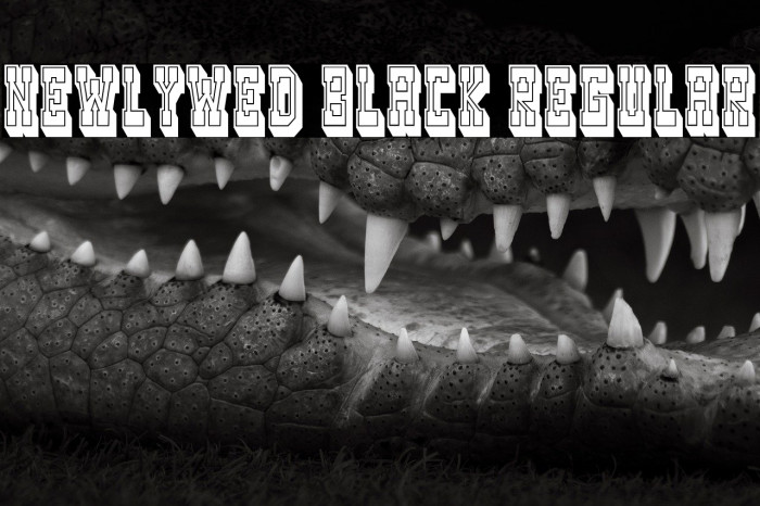 Newlywed Black Regular Example 1