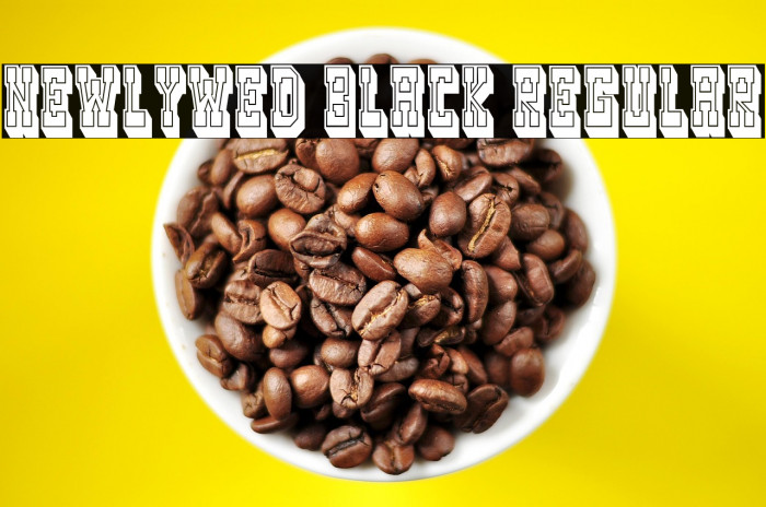 Newlywed Black Regular Example 3