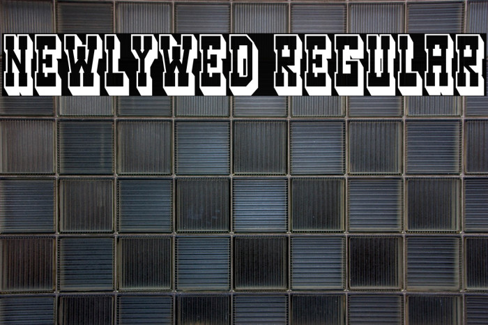 Newlywed Regular Example 3