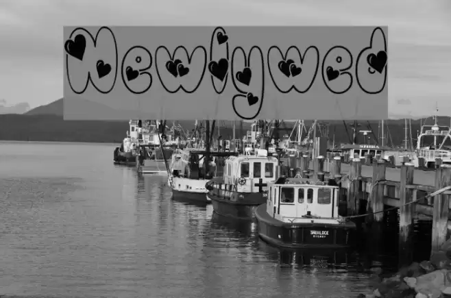 Newlywed Font examples