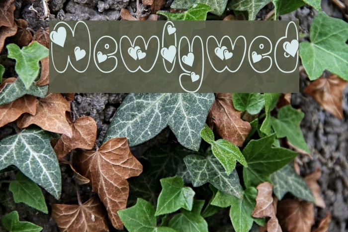 Newlywed Font examples