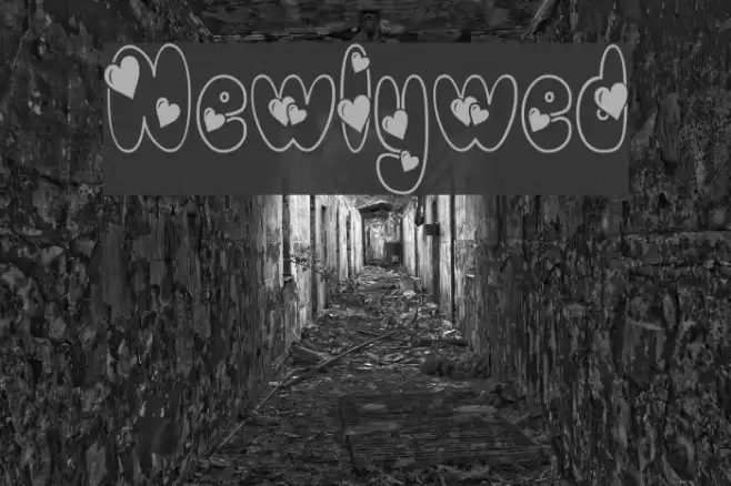 Newlywed Font examples