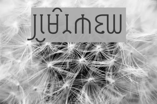 NewmongT Font examples