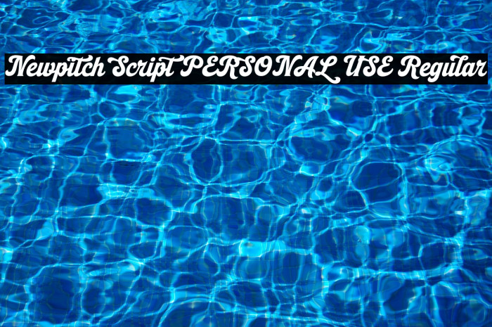 Newpitch Script PERSONAL USE Regular Example 1