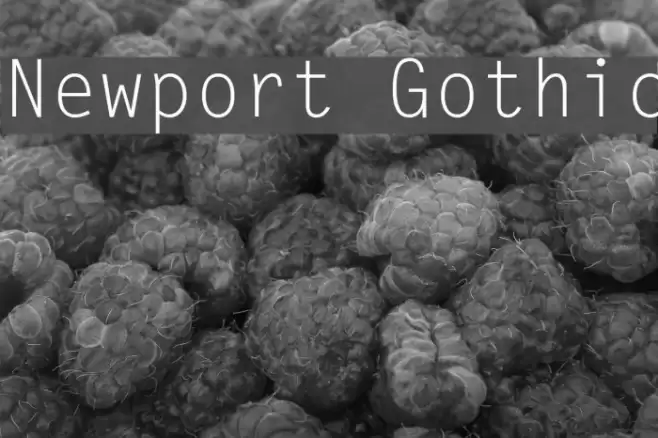 Newport Gothic Font examples