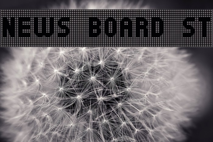 News Board St Font examples