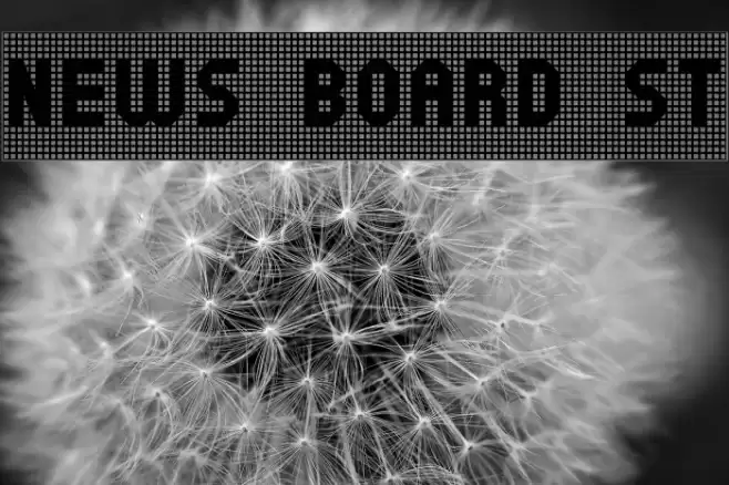 News Board St Font examples