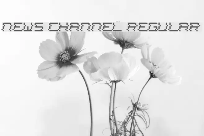 News Channel Regular Example 1