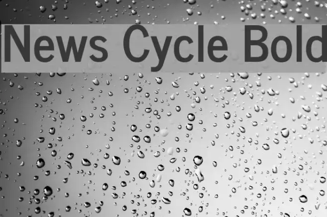 News Cycle Bold Example 1