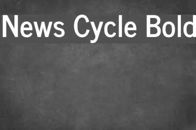 News Cycle Bold Example 2
