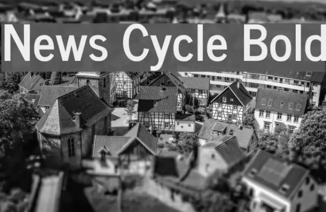 News Cycle Bold Example 3