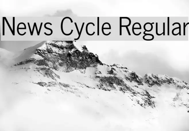 News Cycle Regular Example 1