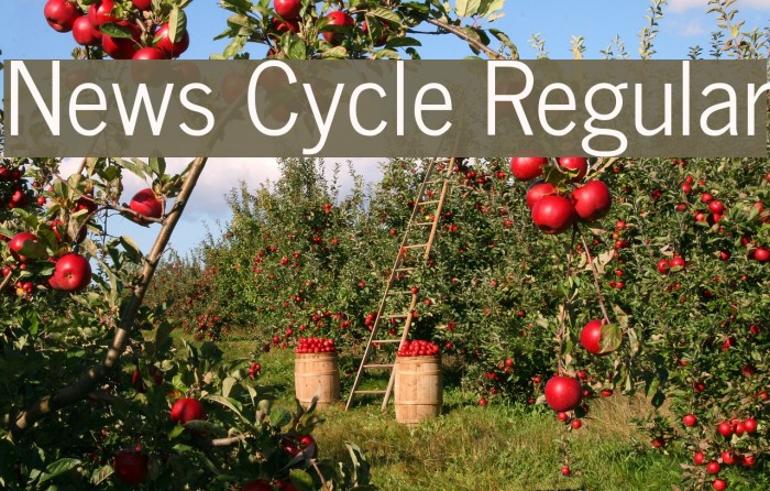 News Cycle Regular Font examples