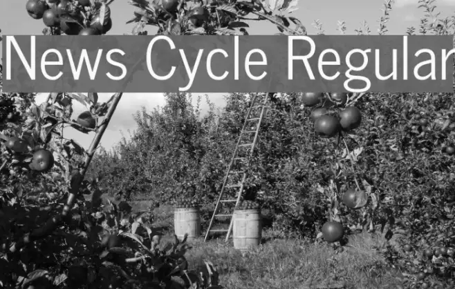 News Cycle Regular Example 2