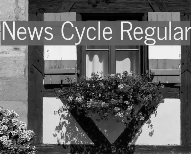News Cycle Regular Example 3